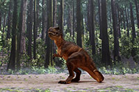 Tyrannosaurus Layout sample image for DSF-006N