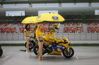 Layout sample image for DSF-008N