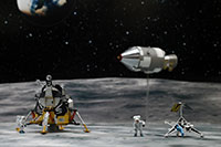 DSF-005 �W�I���}�V�[�g [FREE �F���Z�b�g]�̃��C�A�E�g�T���v�� [����Z��]