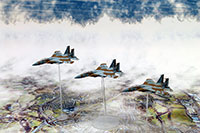 DSF-013N �W�I���}�V�[�gNEO [FREE ���Z�b�g]�̃��C�A�E�g�T���v���摜