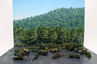 DSF-015 �W�I���}�V�[�g [FREE ���㕔���W�J�Z�b�gA]�̃��C�A�E�g�T���v���摜