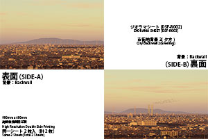 DSF-R002�̏ڍ׉摜