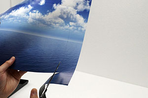 �f�B�X�v���C�P�[�X�ւ̃W�I���}�V�[�g(mini)�ݒu�@�̏Љ�摜