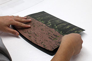 �R���N�V�����P�[�Xmini���C�h�iCCmW�j�ւ̃W�I���}�V�[�g�imini�j�ݒu���@�̏Љ�摜