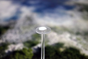 �f�B�X�v���C�W�����f���E�����̌Œ���@�̏Љ�摜