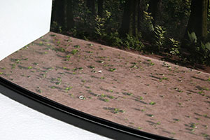 �f�B�X�v���C�W�����f���E�����̌Œ���@�̏Љ�摜