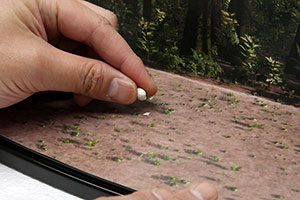 �f�B�X�v���C�W�����f���E�����̌Œ���@�̏Љ�摜