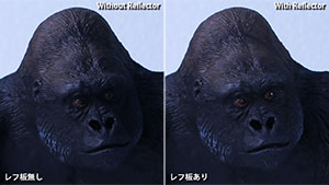 ���t�̗��p�@�i�菇�j ����Z��