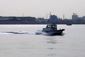 �����g�E�q���g�i���������́j�̃T���v���ʐ^